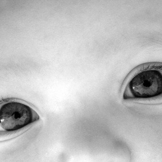 Sangre del cordón umbilical