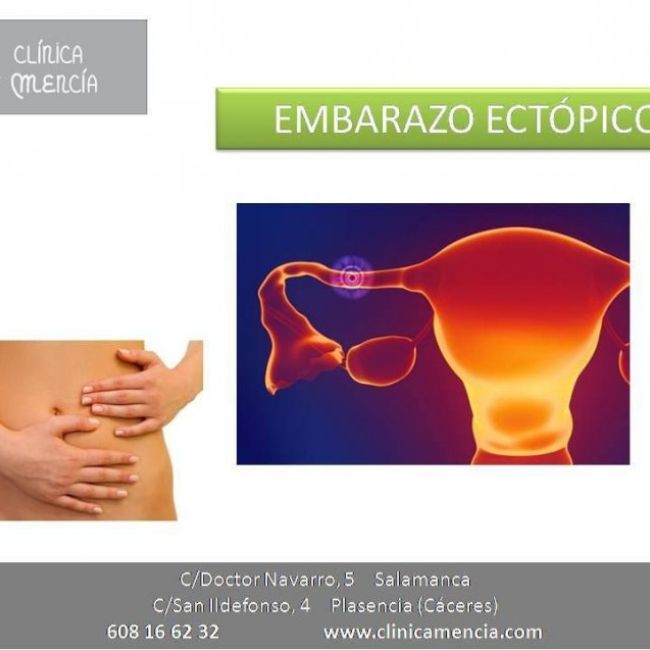 60334174 1105572316307371 1246934404526243840 n