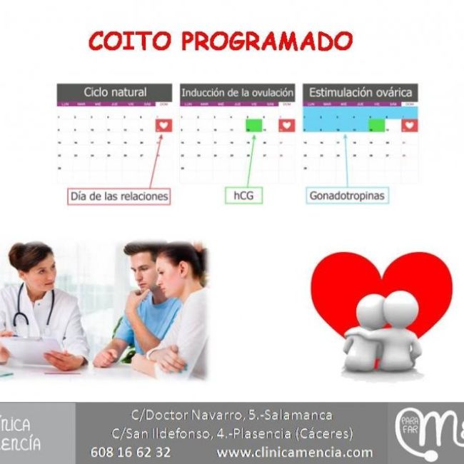 coito programado