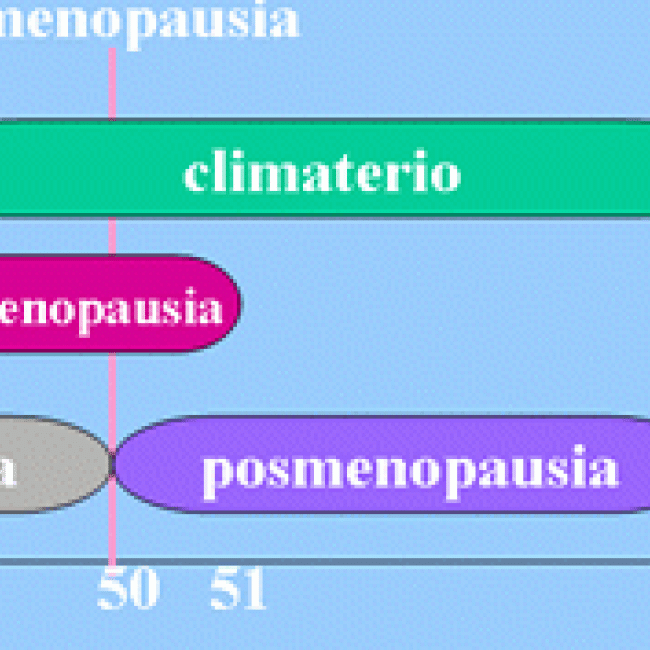 Periomenopausia, menopausia y osteporosis