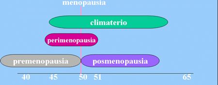 Periomenopausia, menopausia y osteporosis