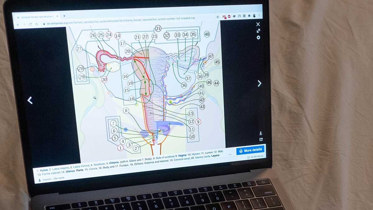 Estudio básico de infertilidad