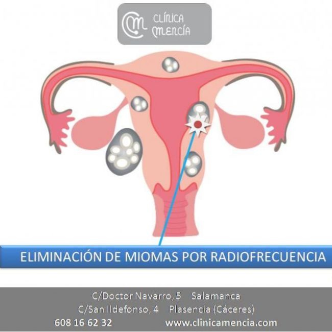 48406128 717952488585821 960361477728894976 n