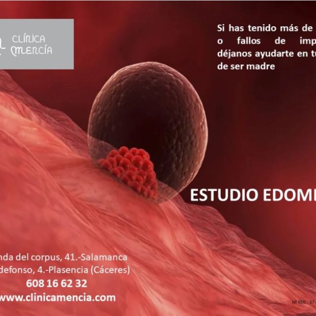 ESTUDIO ENDOMETRIO