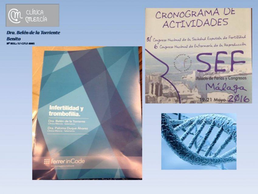 CONGRESO SEF CONGRESO SEF