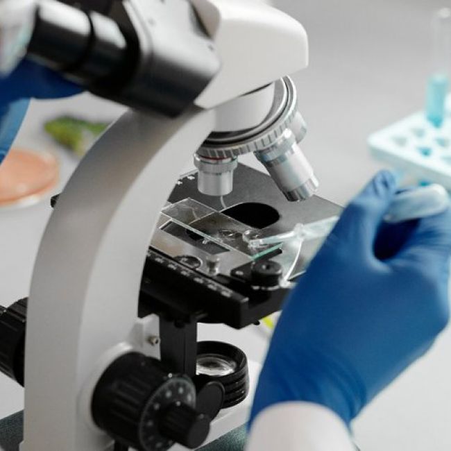 Fecundación in vitro