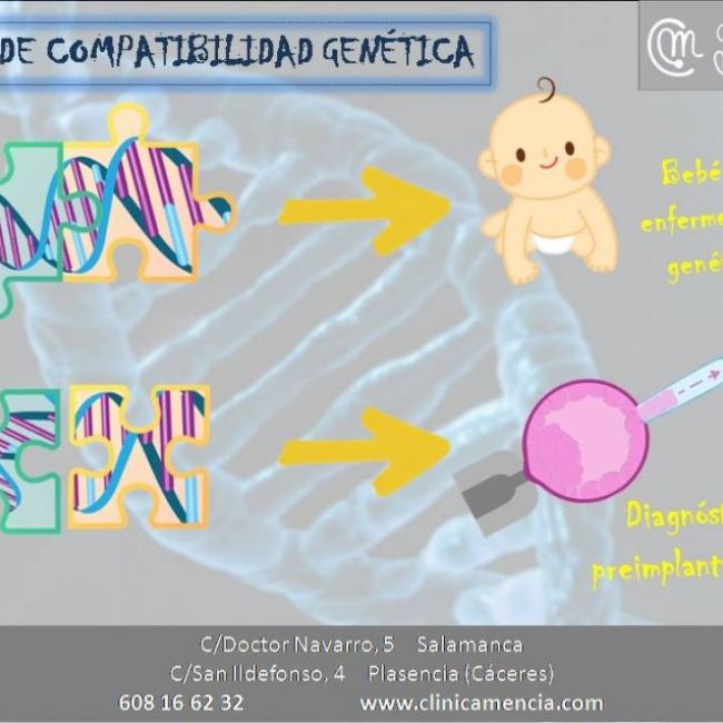 69781270 1181704375360831 4780449791886753792 n