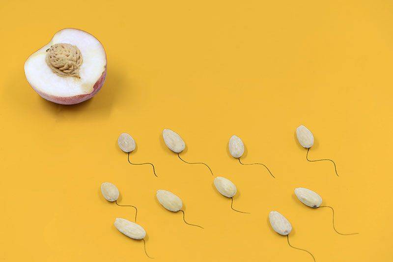 Tratamiento de inseminación artificial Tratamiento de inseminación artificial